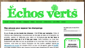 What Echosverts.com website looked like in 2017 (7 years ago)