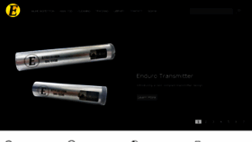 What Enduropls.com website looked like in 2017 (8 years ago)