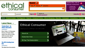 What Ethiscore.org website looked like in 2017 (8 years ago)