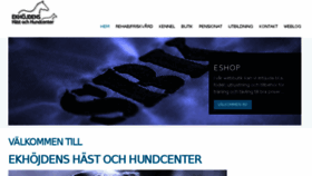 What Ekhojden.com website looked like in 2017 (6 years ago)