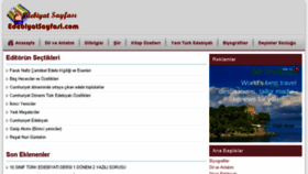 What Edebiyatsayfasi.com website looked like in 2017 (6 years ago)
