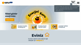 What Enerjisa.com.tr website looked like in 2017 (6 years ago)