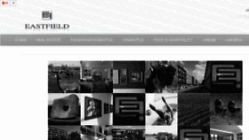What Eastfield.sk website looked like in 2017 (6 years ago)
