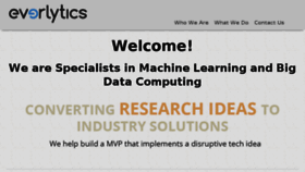 What Everlytics.io website looked like in 2017 (8 years ago)