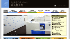 What E-tamaruya.jp website looked like in 2017 (6 years ago)