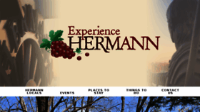 What Experiencehermann.com website looked like in 2017 (6 years ago)