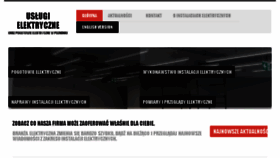 What Elektryk.oswietlenieilampy.pl website looked like in 2017 (6 years ago)