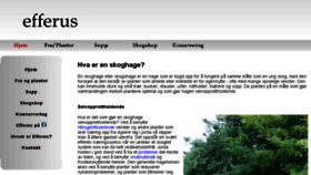 What Efferus.no website looked like in 2017 (6 years ago)