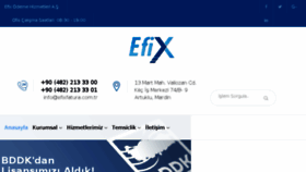 What Efixfatura.com.tr website looked like in 2017 (6 years ago)