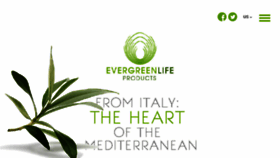 What Evergreenlife.es website looked like in 2017 (6 years ago)