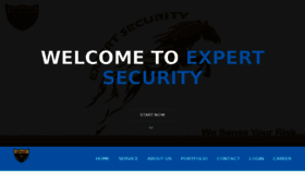 What Expertsecurityindia.com website looked like in 2017 (6 years ago)