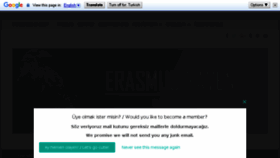 What Erasmusraven.com website looked like in 2017 (6 years ago)