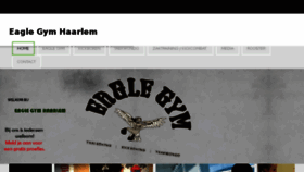 What Eagle-gym.nl website looked like in 2017 (6 years ago)