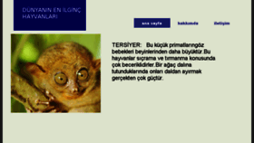 What Ekiciburak.com website looked like in 2017 (6 years ago)