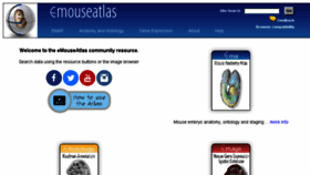 What Emouseatlas.org website looked like in 2017 (6 years ago)