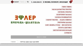 What Efler.ru website looked like in 2018 (6 years ago)
