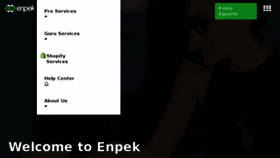 What Enpek.com website looked like in 2018 (6 years ago)