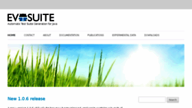 What Evosuite.org website looked like in 2018 (6 years ago)