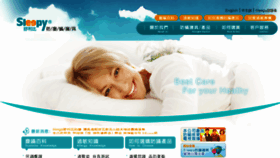 What E-sleepy.com website looked like in 2018 (5 years ago)