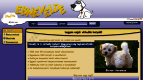 What Ebnevelde.hu website looked like in 2018 (5 years ago)
