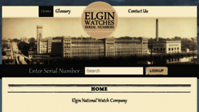 What Elginnumbers.com website looked like in 2018 (5 years ago)