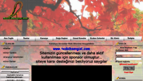 What Ekanarya.com website looked like in 2018 (5 years ago)