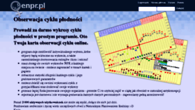What Enpr.pl website looked like in 2018 (5 years ago)