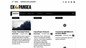 What Ekopangea.com website looked like in 2018 (5 years ago)