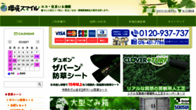 What Eco-smile.jp website looked like in 2018 (5 years ago)