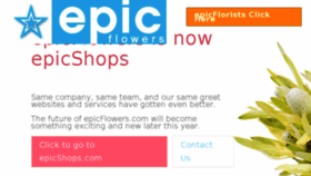 What Epicflowers.com website looked like in 2018 (5 years ago)
