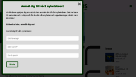 What Ergofokus.se website looked like in 2018 (5 years ago)