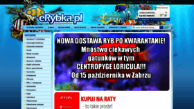 What Erybka.pl website looked like in 2018 (5 years ago)