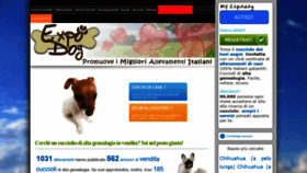 What Expodog.com website looked like in 2018 (5 years ago)