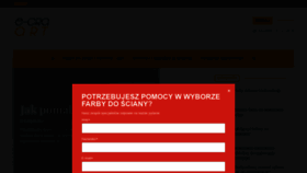 What E-graart.pl website looked like in 2018 (5 years ago)
