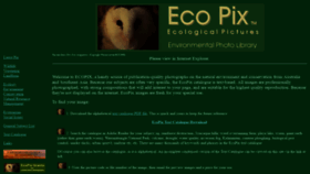 What Ecopix.com.au website looked like in 2019 (5 years ago)