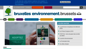 What Environnement.brussels website looked like in 2019 (5 years ago)