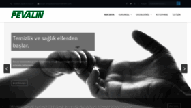 What Eltemizlemekremi.com website looked like in 2019 (5 years ago)
