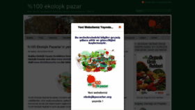 What Ekolojikpazar.org website looked like in 2019 (5 years ago)