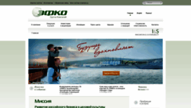 What Efko.ru website looked like in 2019 (5 years ago)