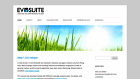 What Evosuite.org website looked like in 2019 (5 years ago)