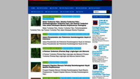 What Edukasinesia.com website looked like in 2019 (5 years ago)