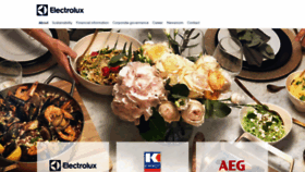 What Electrolux.co.za website looked like in 2019 (5 years ago)