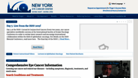 What Eyecancer.com website looked like in 2019 (5 years ago)