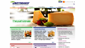 What Enzymaks.com website looked like in 2019 (5 years ago)