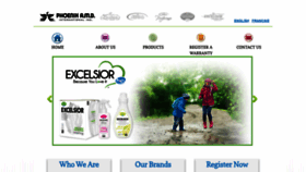 What Excelsiorhe.com website looked like in 2019 (4 years ago)