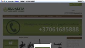 What Eldalita.lt website looked like in 2019 (4 years ago)