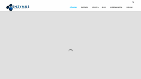 What Enzymus.hu website looked like in 2019 (4 years ago)