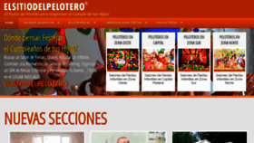 What Elsitiodelpelotero.com.ar website looked like in 2019 (4 years ago)