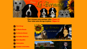 What Elevagelabernoise.com website looked like in 2019 (4 years ago)