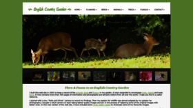 What English-country-garden.com website looked like in 2019 (4 years ago)